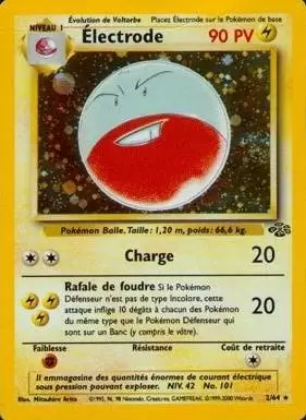 Jungle - Électrode Holographique