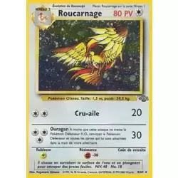 Roucarnage Holographique