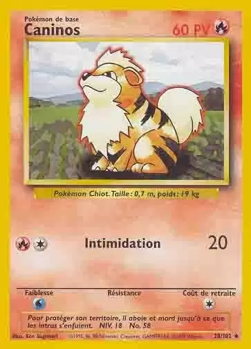 Set de Base - Caninos