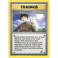 Brock's Protection