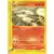Skyridge - Arcanine