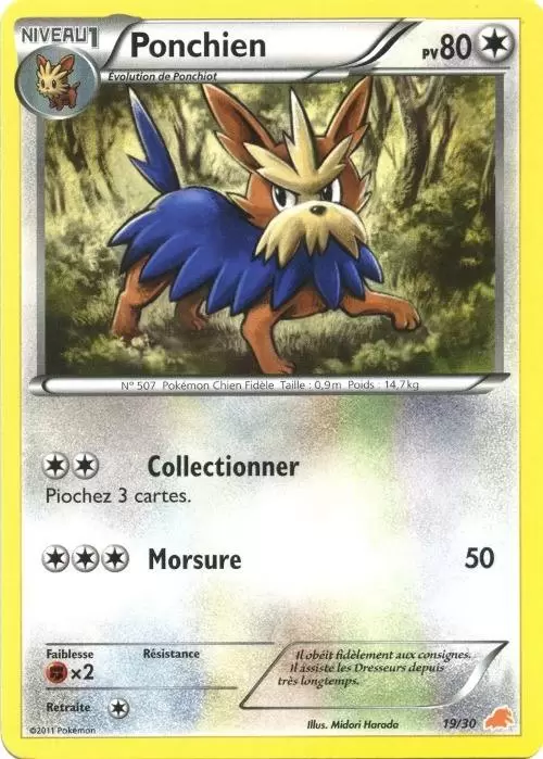 B&W Trainer Kit (Minotaupe) - Ponchien