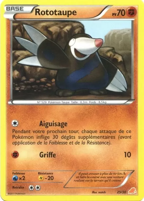 B&W Trainer Kit (Minotaupe) - Rototaupe