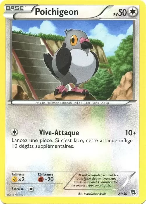 B&W Trainer Kit (Zoroark) - Poichigeon