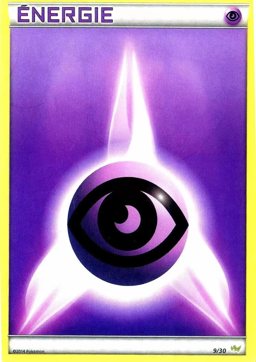 XY Trainer Kit (Bruyverne) - Énergie Psy