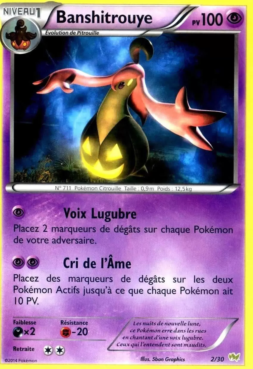 XY Trainer Kit (Bruyverne) - Banshitrouye