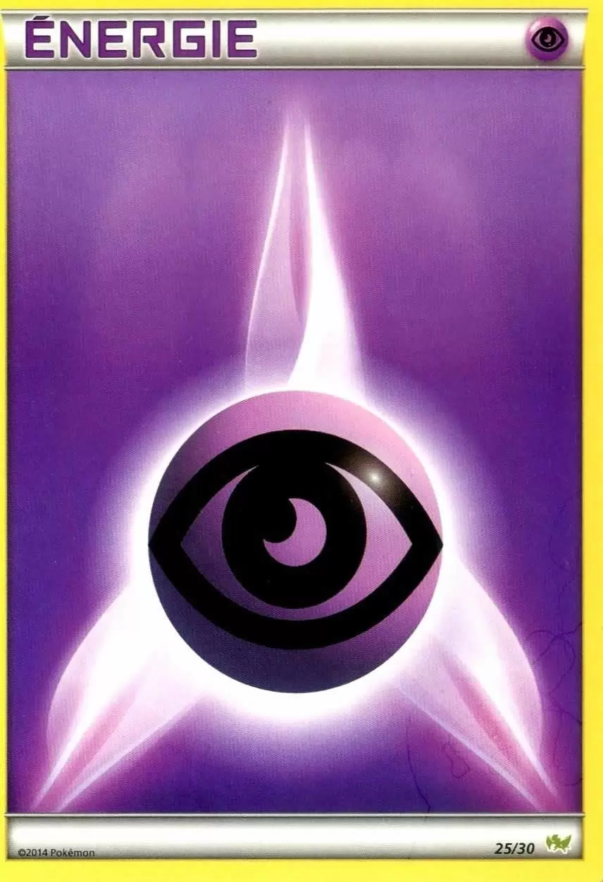 XY Trainer Kit (Bruyverne) - Énergie Psy