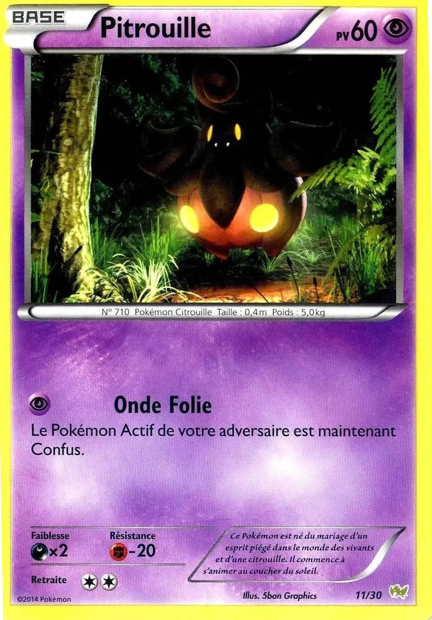 XY Trainer Kit (Bruyverne) - Pitrouille