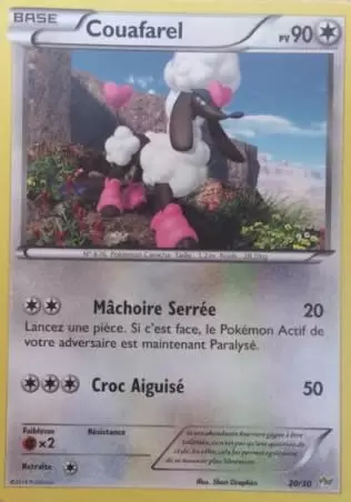 XY Trainer Kit (Bruyverne) - Couafarel