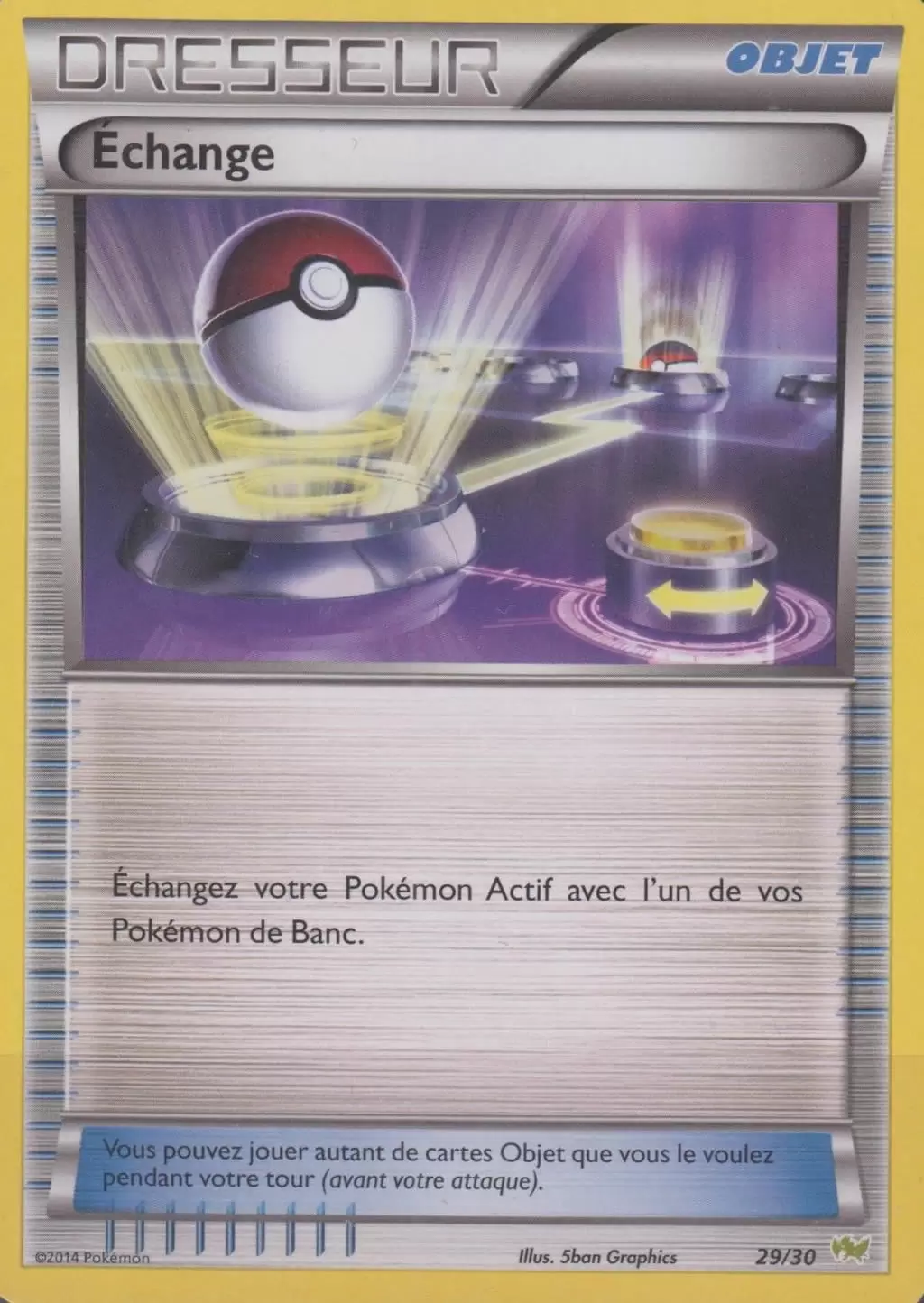 XY Trainer Kit (Bruyverne) - Echange