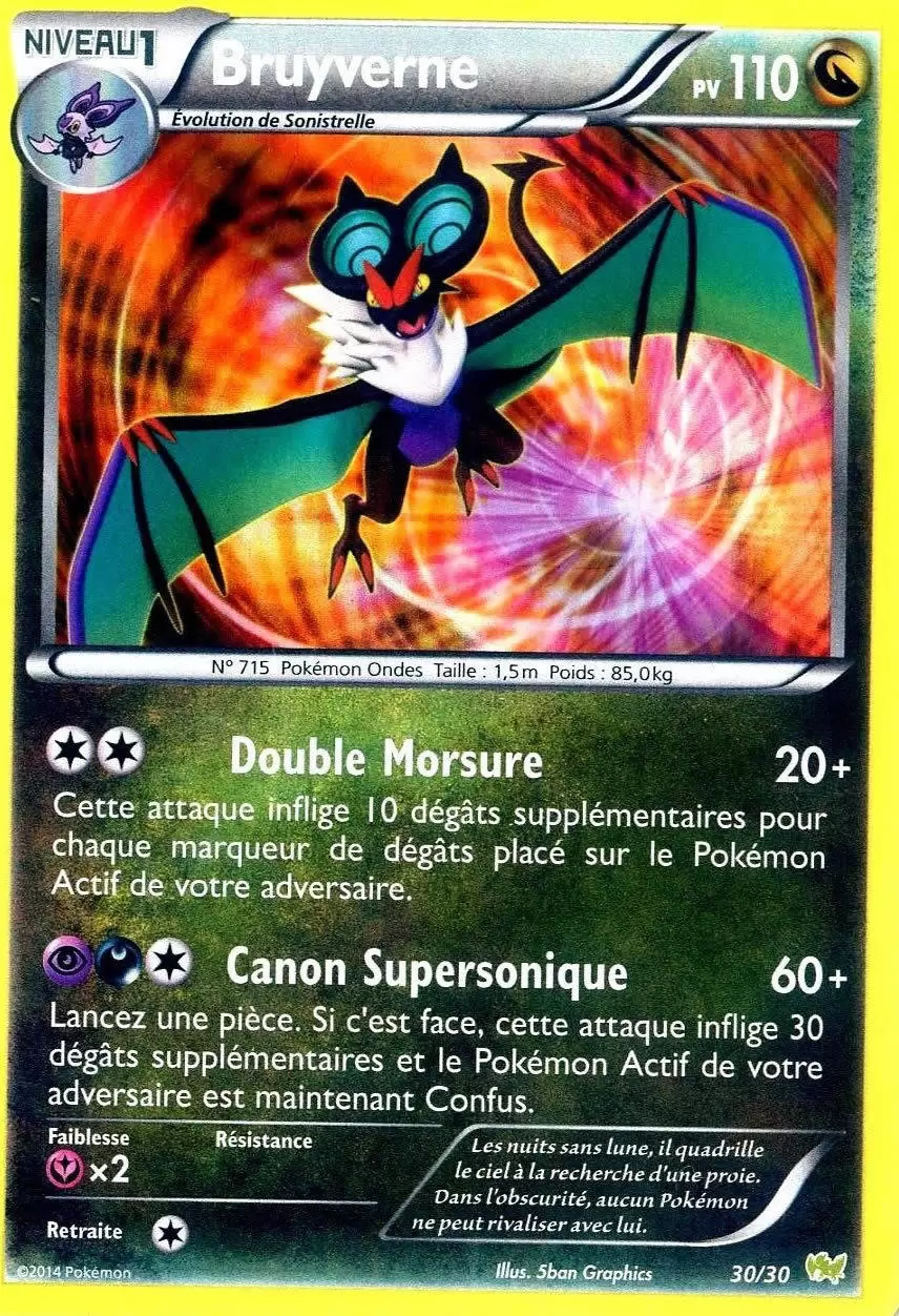 XY Trainer Kit (Bruyverne) - Bruyverne
