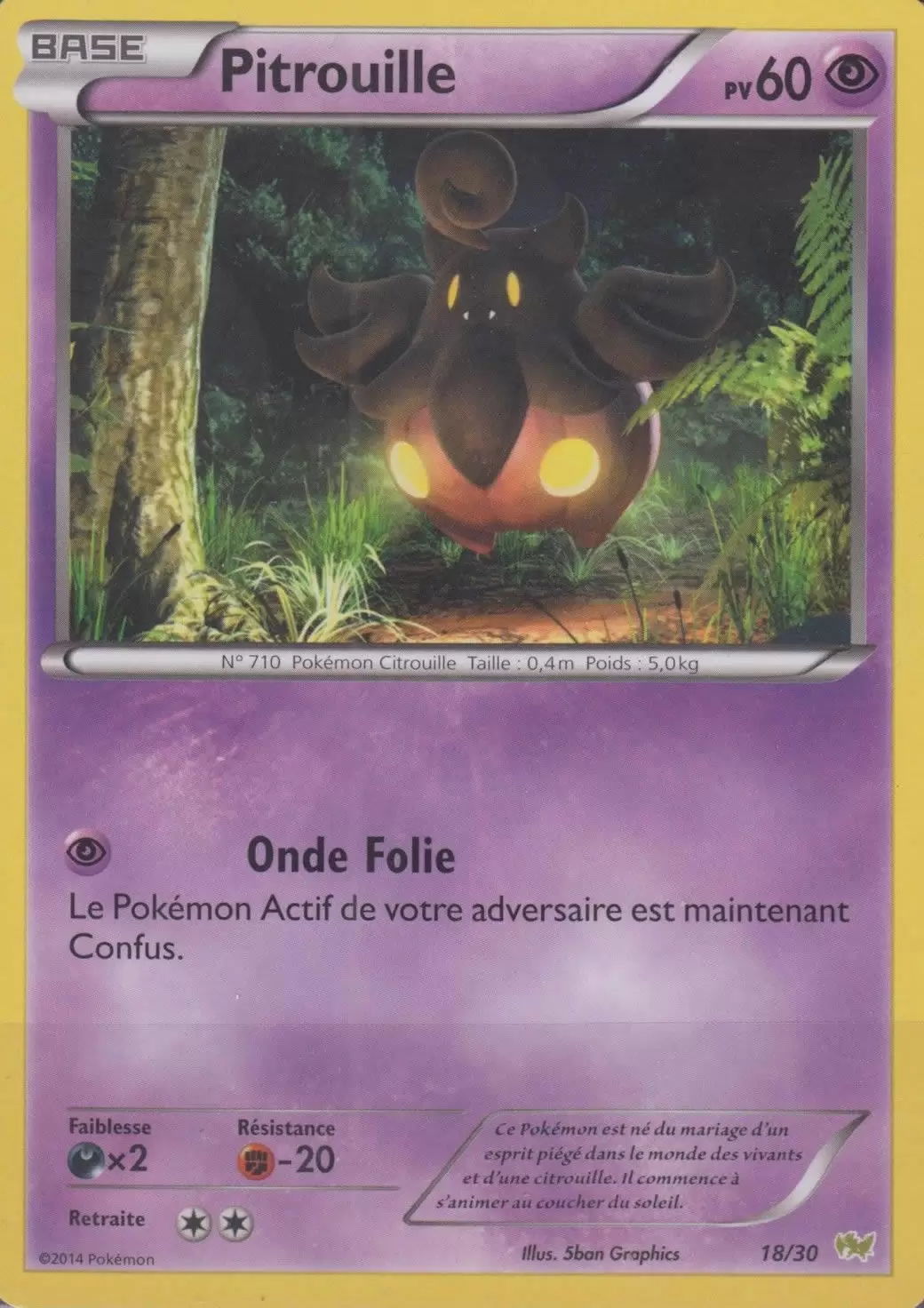 XY Trainer Kit (Bruyverne) - Pitrouille