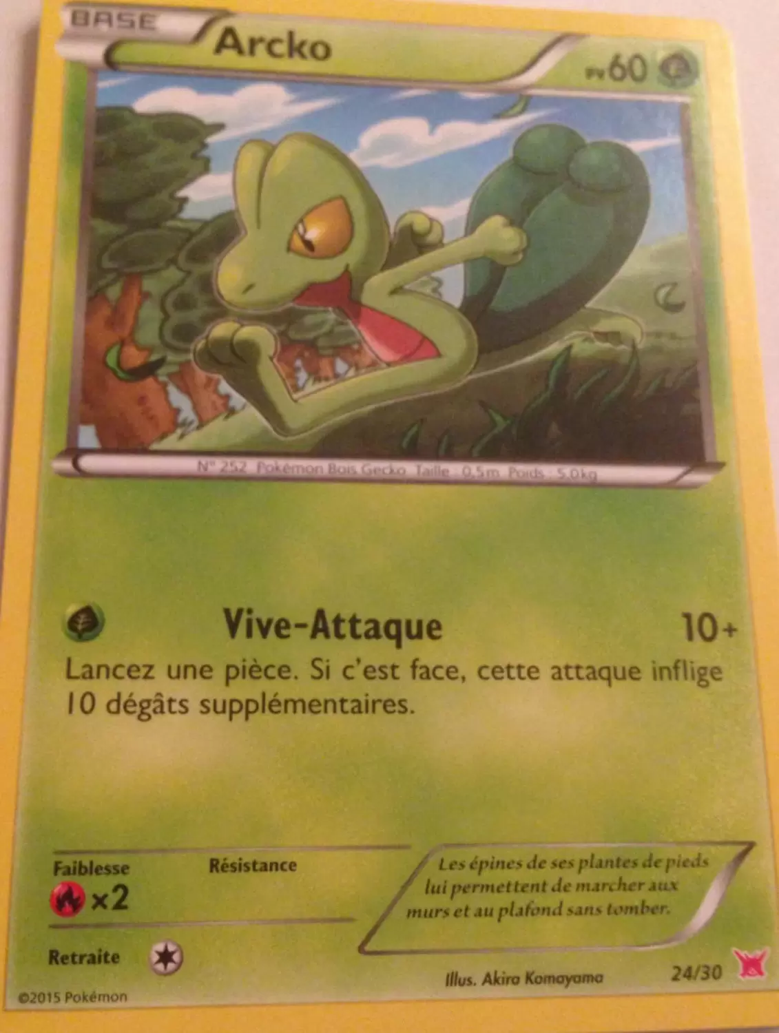 XY Trainer Kit (Latias) - Arcko