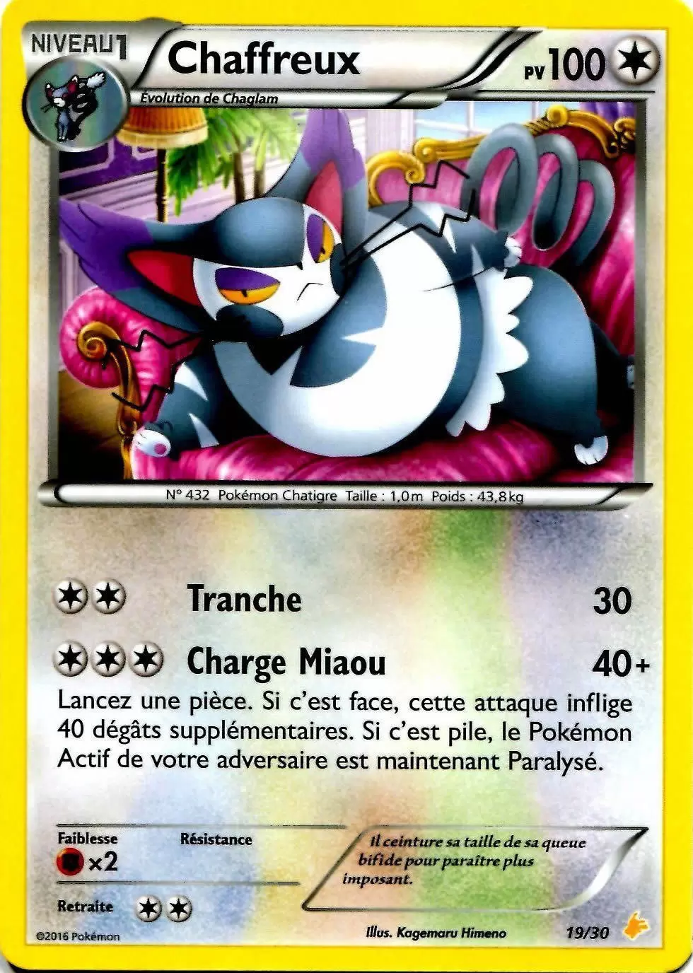XY Trainer Kit (Pikachu Catcheur) - Chaffreux