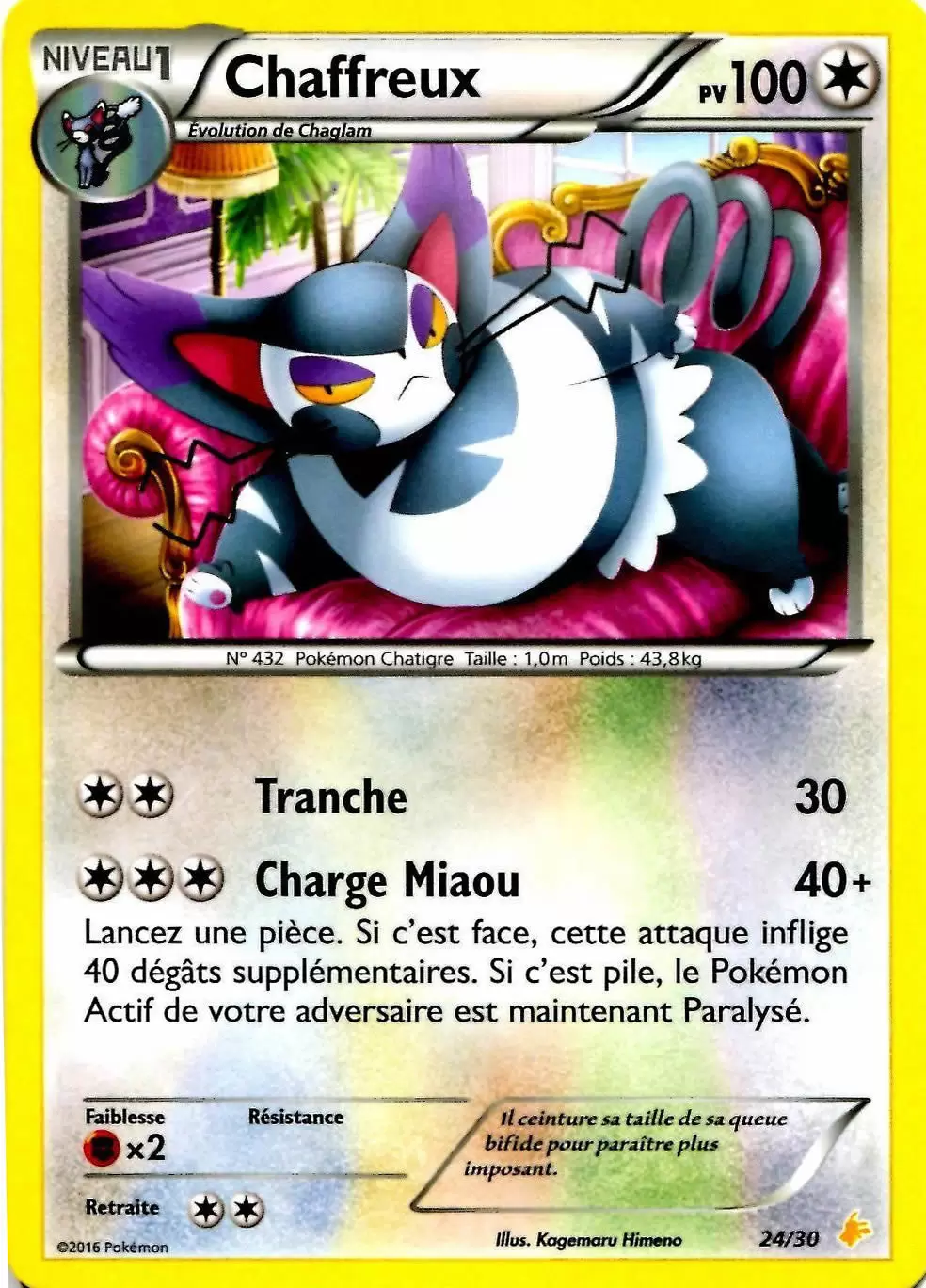 XY Trainer Kit (Pikachu Catcheur) - Chaffreux