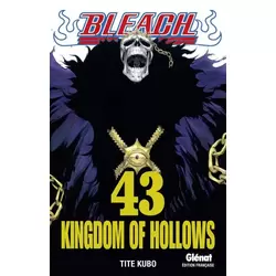 43. Kingdom of Hollows