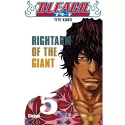 5. Rightarm of the Giant