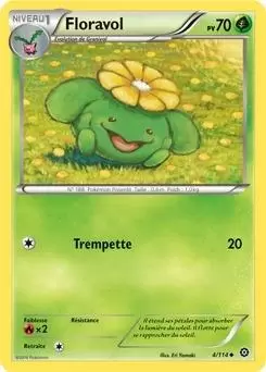 Pokémon XY Offensive Vapeur - Floravol