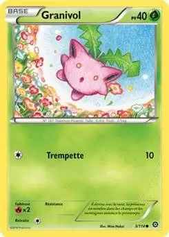 Pokémon XY Offensive Vapeur - Granivol