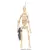 The Clone Wars (TCW 2008) - Battle Droid