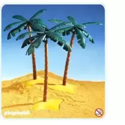3 Palm Trees