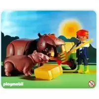 Zoo Keeper and Hippos