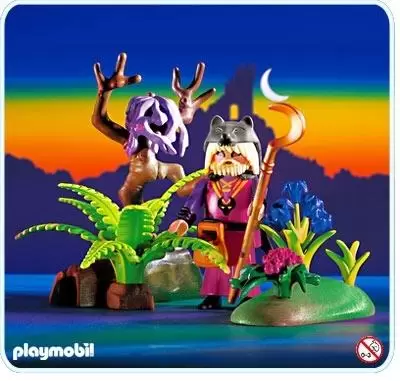 Playmobil Magie et Contes - Druide