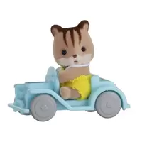 Baby Carry Case / Squirrel on Car