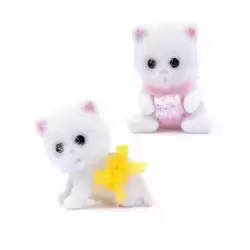 Persian Cat Twins