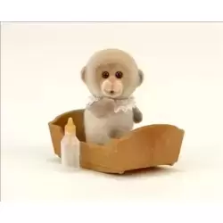 Monkey Baby