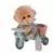 Bébé Singe sur Tricycle