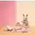 Sylvanian Families (Europe) - Set Anniversaire Fille Lapin Gris