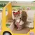 Calico Critters (USA, Canada) - Hot Dog Van