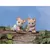 Calico Critters (USA, Canada) - Norwood Mouse Twins