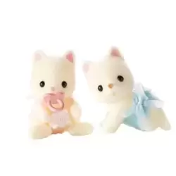 Silk Cat Twins