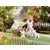 Calico Critters (USA, Canada) - Connor & Kerri\'s Carriage Ride