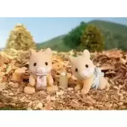 Hawthorne Hamster  Twins