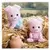 Calico Critters (USA, Canada) - Pigglywink Pig Twins