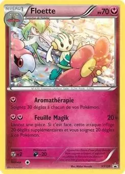 Cartes Promo Black Star XY - Floette