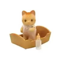 Baby Beaman Ginger Cat
