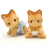 Beaman Ginger Cat Twin Babies