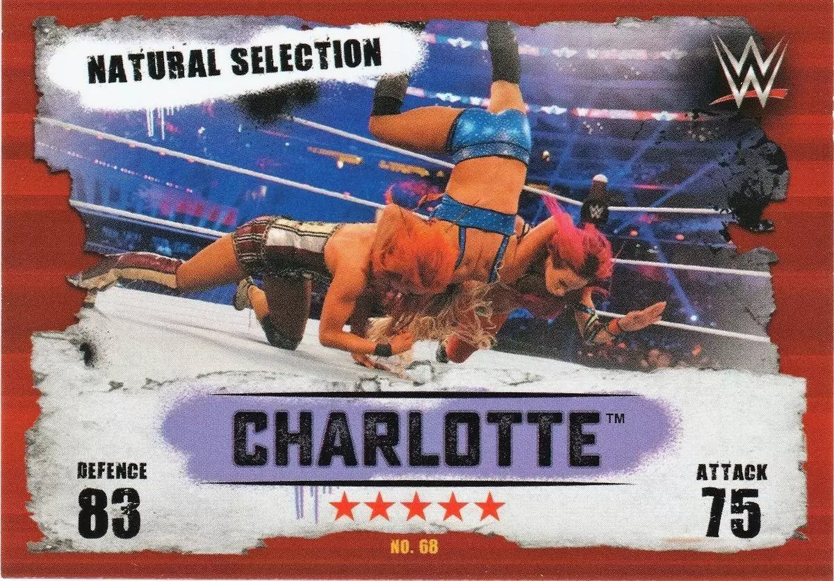 Slam Attax Takeover 2016 - Charlotte - Natural Selection