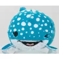 Destiny Winking