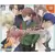 Jeux Dreamcast - Cherry Blossom