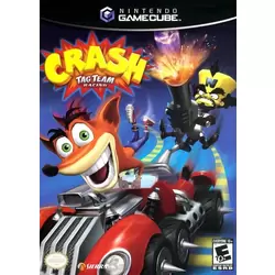 Crash Tag Team Racing