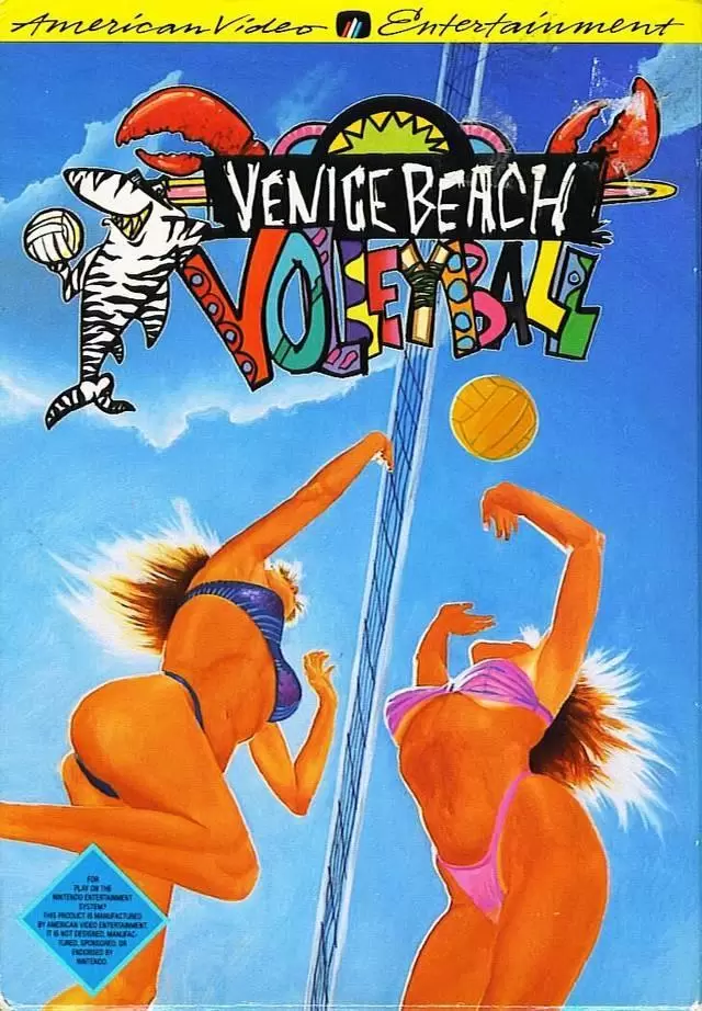 Jeux Nintendo NES - Venice Beach Volleyball