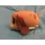 Mini Tsum Tsum - Rouky