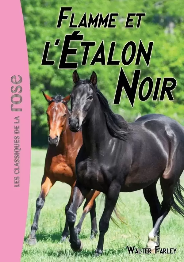 L\'étalon noir - Flamme et l’Étalon Noir