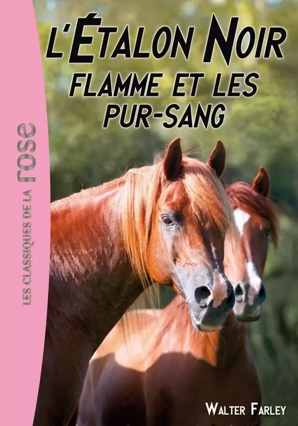 L\'étalon noir - Flamme et les pur-sang
