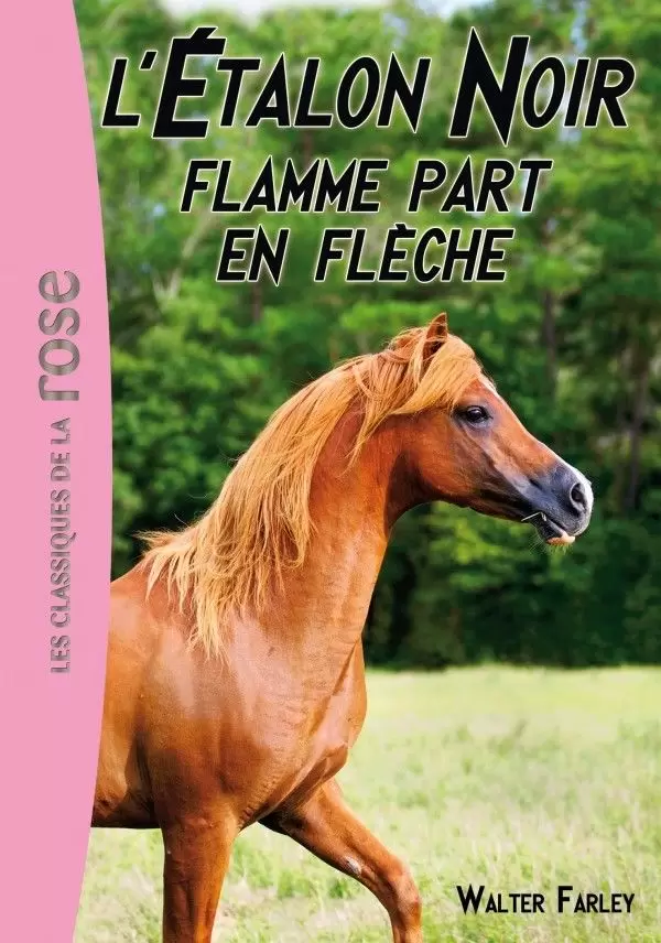 L\'étalon noir - Flamme part en flèche